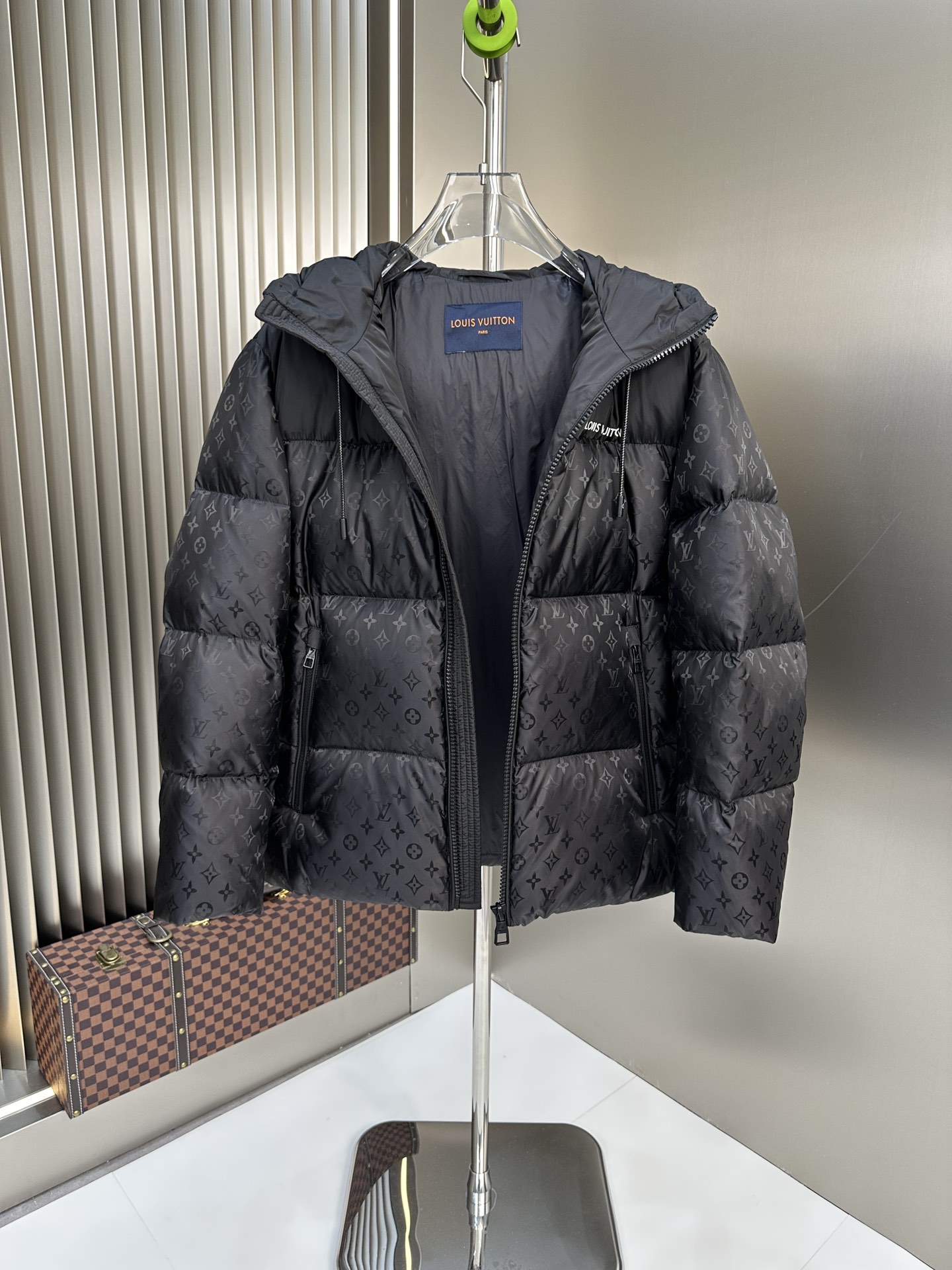 Louis Vuitton Down Jackets